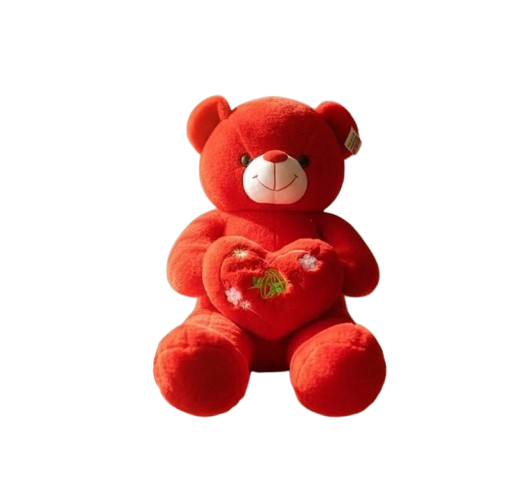 Large Red Love Teddy Bear with Heart Cushion